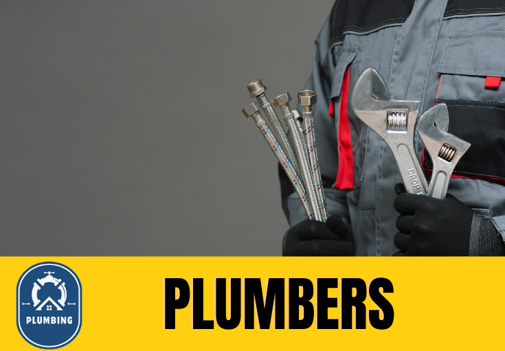 plumber Offerton